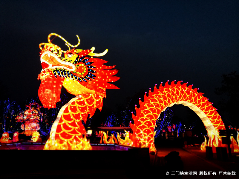 灯会展区夜景 柳晓飞 图